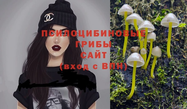 прущий лед Володарск