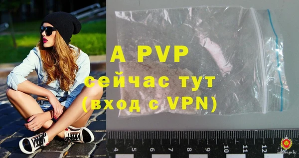 Альфа ПВП Верея