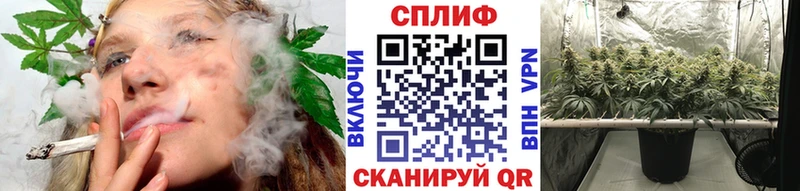 закладки  Лиски  МАРИХУАНА марихуана 